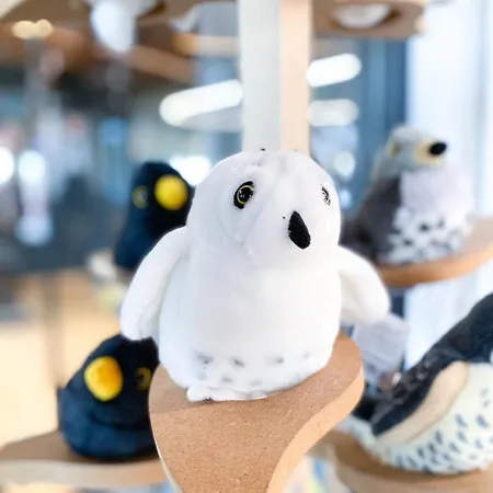 Liminganlahti 酒店 Liminka