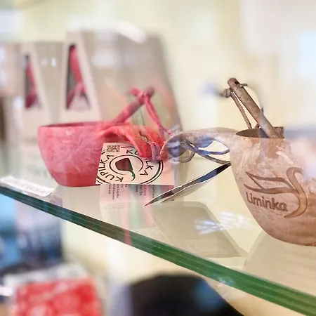 酒店 Liminganlahti 4*