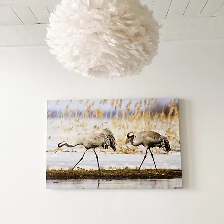 Liminganlahti Liminka