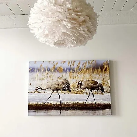 Liminganlahti 4* Liminka